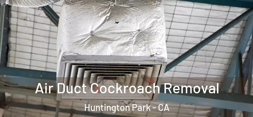 Air Duct Cockroach Removal Huntington Park - CA