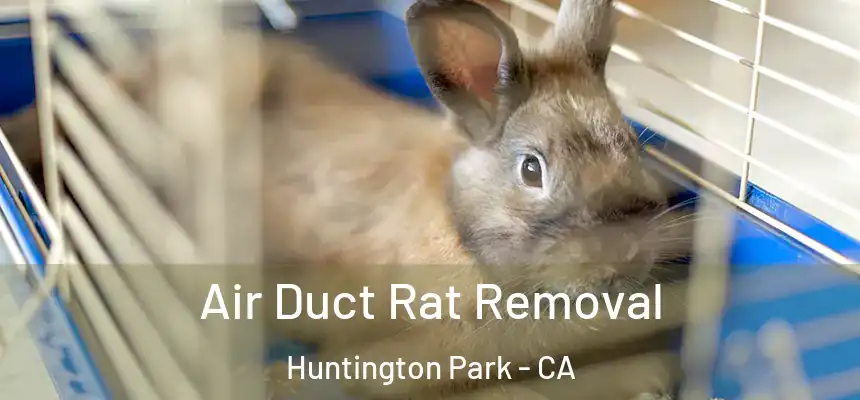 Air Duct Rat Removal Huntington Park - CA