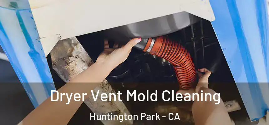 Dryer Vent Mold Cleaning Huntington Park - CA