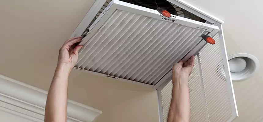 Preventive Cockroach-Proofing for Ducts in Huntington Park