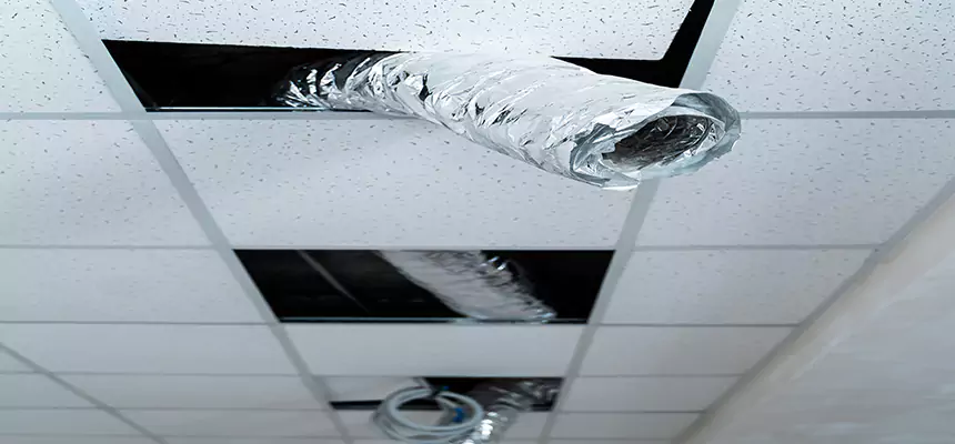 Our Air Duct Pet Hair Removal Services in Huntington Park, CA