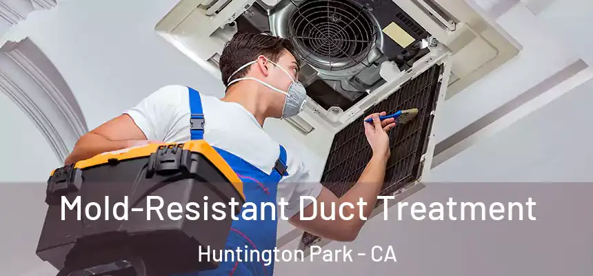  Mold-Resistant Duct Treatment Huntington Park - CA
