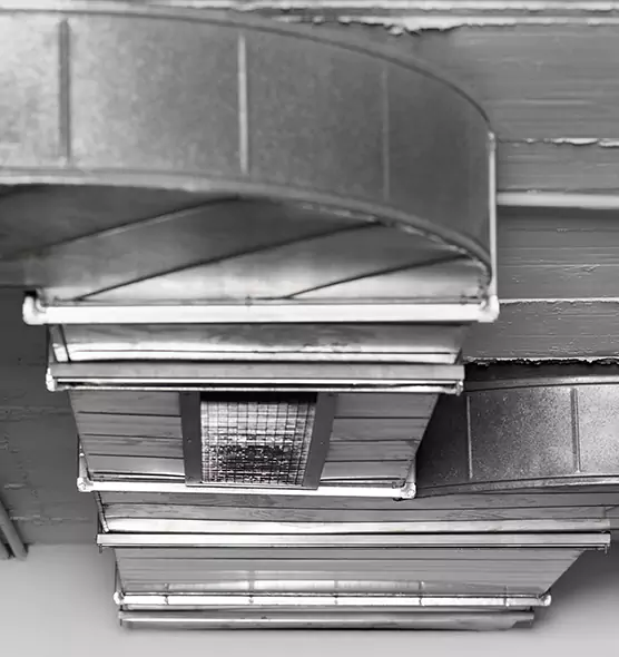 Professional Air Duct Pest Removal in Huntington Park, CA