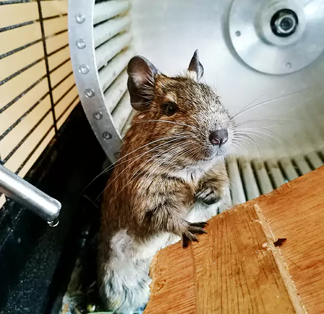 Why Homeowners & Businesses Trust Us Huntington Park, CA