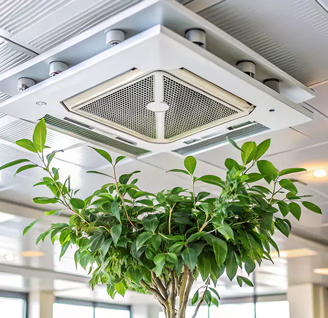 Why Homeowners & Businesses Trust Us in Huntington Park, CA