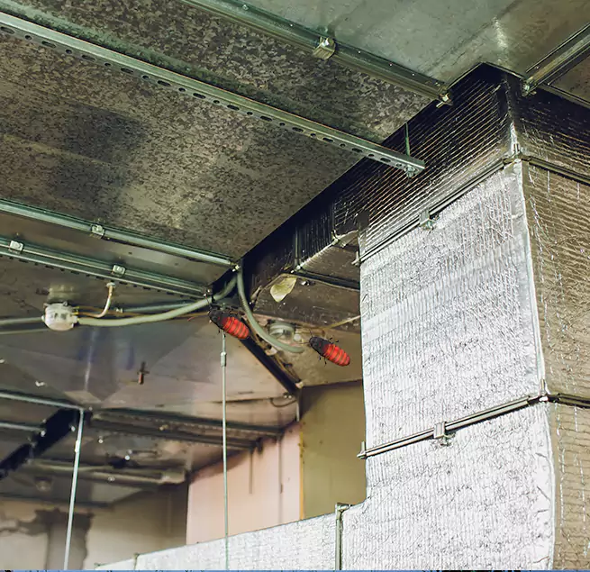 Why Homeowners & Businesses Trust Us Huntington Park, CA?